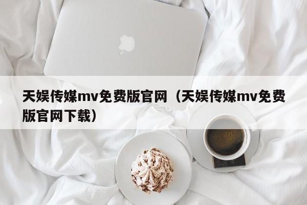 天娱传媒mv免费版官网（天娱传媒mv免费版官网下载）