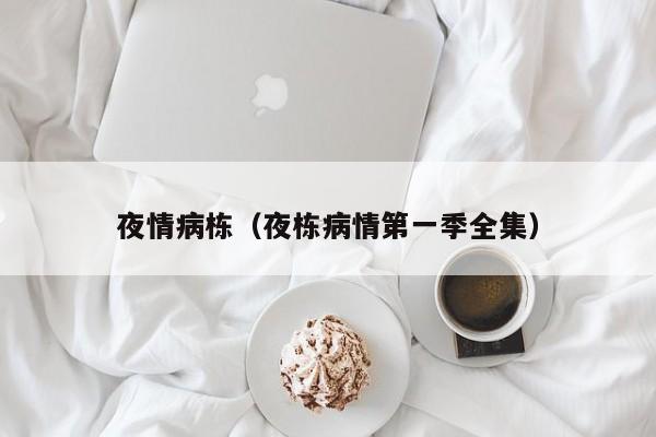夜情病栋（夜栋病情第一季全集）