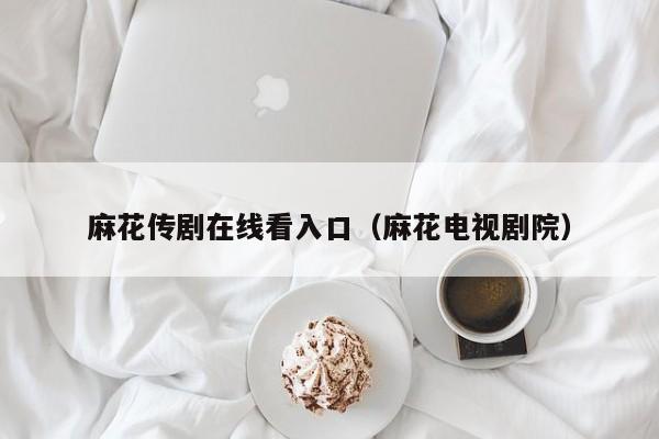 麻花传剧在线看入口（麻花电视剧院）