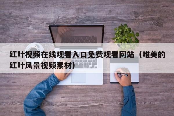 红叶视频在线观看入口免费观看网站（唯美的红叶风景视频素材）