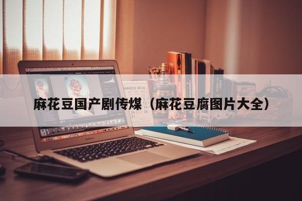麻花豆国产剧传煤（麻花豆腐图片大全）