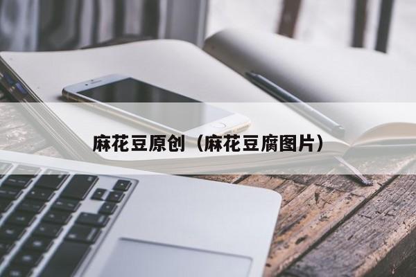 麻花豆原创（麻花豆腐图片）