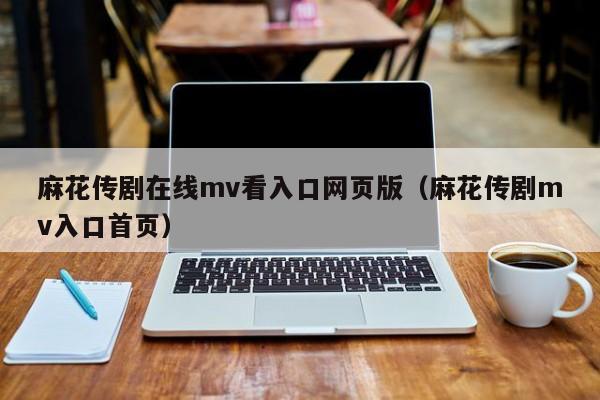 麻花传剧在线mv看入口网页版（麻花传剧mv入口首页）